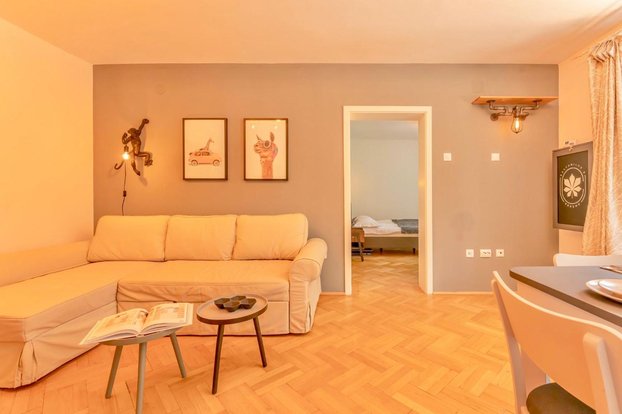 Castanilor 6 - Hip Industrial Apartment Close To City Centre Brașov Exterior foto